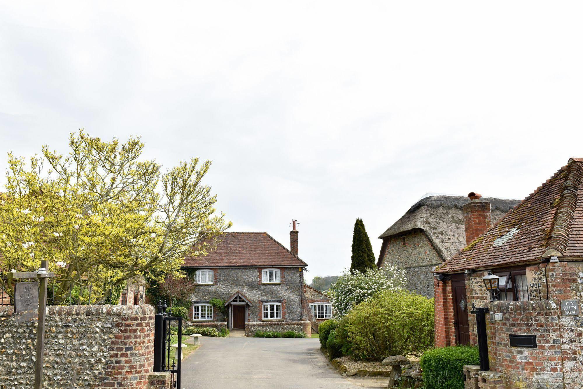 Old Selden Farm B&B Clapham  Kültér fotó